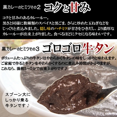 ●牛タン黒カレー(200g×12パック)