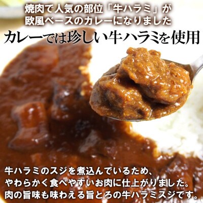 欧風牛ハラミカレー(200g×8パック)