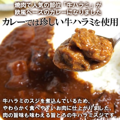 欧風牛ハラミカレー(200g×16パック)