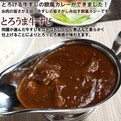 とろ旨欧風牛すじカレー(200g×16パック)