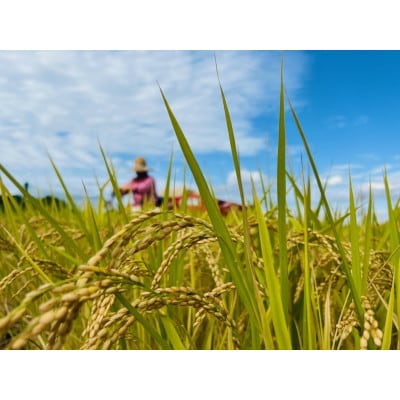 農業姉妹がこだわって栽培!玄米5kg