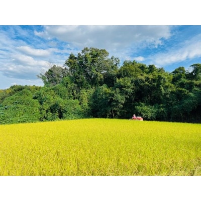 農業姉妹がこだわって栽培!玄米5kg