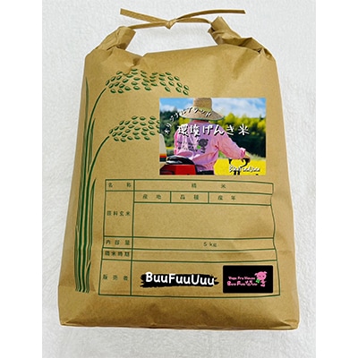 【毎月定期便】農業姉妹がこだわって栽培!白米5kg12回1年間定期便 全12回