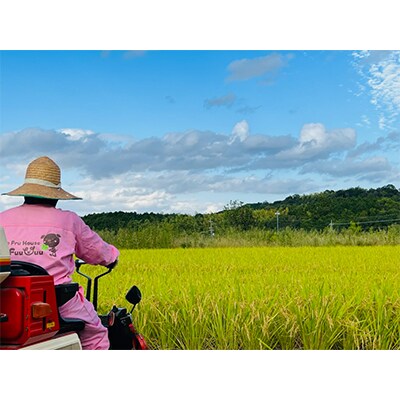 【毎月定期便】農業姉妹がこだわって栽培!白米5kg12回1年間定期便 全12回