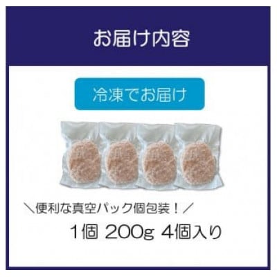 【無添加】生熟成ハンバーグ(200g×4個)