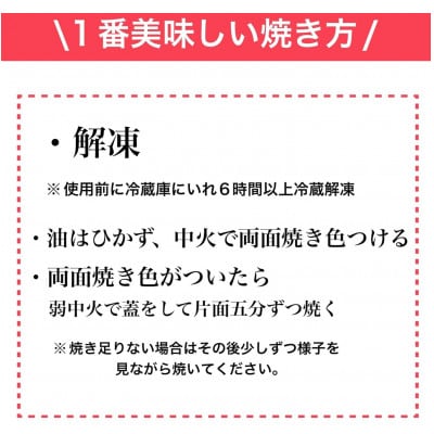 【無添加】生熟成ハンバーグ(200g×4個)