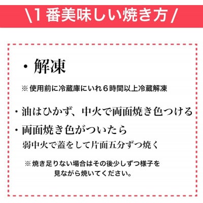 【無添加】生熟成ハンバーグ200g×15個