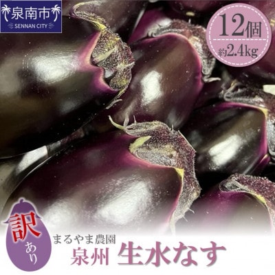 まるやま農園 泉州 生 水なす 訳あり品