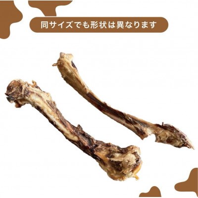 ペットフード研究所　鹿足骨5本