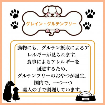 ペットフード研究所の国産無添加猪肉ジャーキー100g