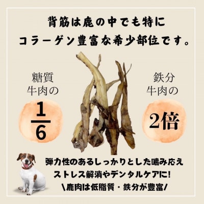 ペットフード研究所　国産無添加 鹿スジジャーキー50g