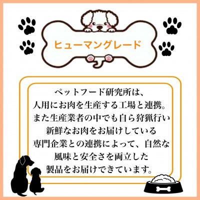 ペットフード研究所　国産無添加 鹿スジジャーキー50g