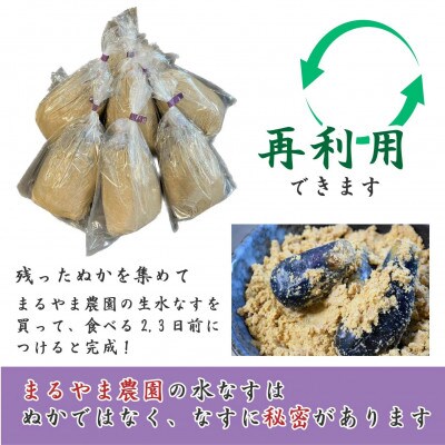 まるやま農園 泉州水なす ぬか漬け　10個