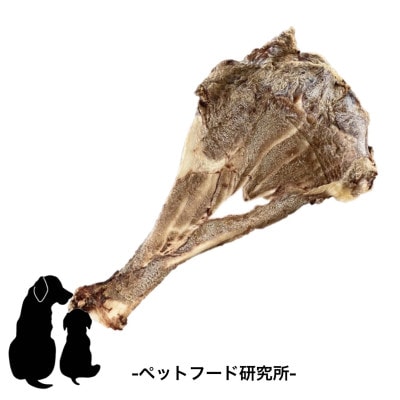 ペットフード研究所　国産無添加 猪肩甲骨 大きさランダム14枚セット