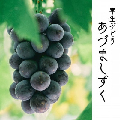 あづましずくとクイーンセブンの彩りセット 1kg(2～3房)