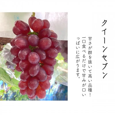 あづましずくとクイーンセブンの彩りセット 1kg(2～3房)