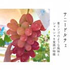 太陽の甘みが詰まったサニードルチェ