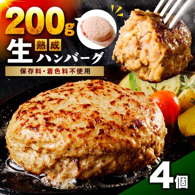 【無添加】生熟成ハンバーグ(200g×4個)