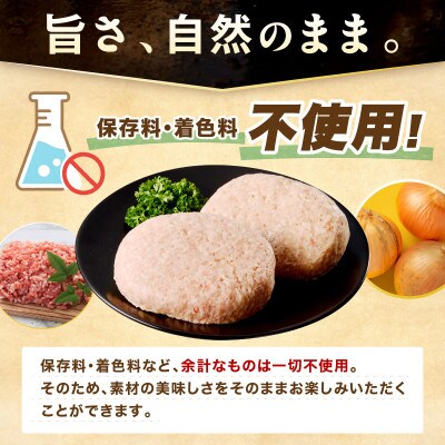 【無添加】生熟成ハンバーグ(200g×4個)