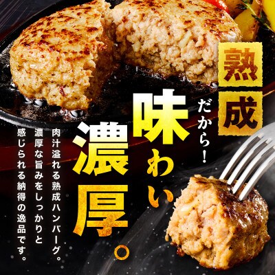 【無添加】生熟成ハンバーグ(200g×10個)