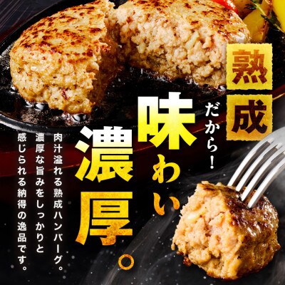 【無添加】生熟成ハンバーグ200g×15個