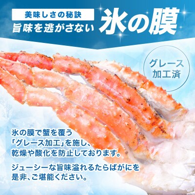 【極太5Lサイズ】ボイルたらば蟹 1肩 約1kg ふるさと納税3.0