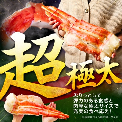 【極太5Lサイズ】生たらば蟹 生肩 2肩(約2kg) ふるさと納税3.0