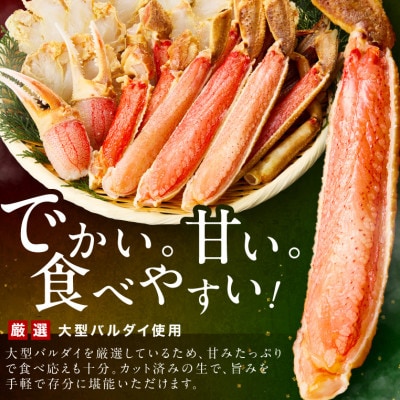 生本ズワイガニ ハーフポーション 大型バルダイ使用 約2kg(総重量3kg)ふるさと納税3.0