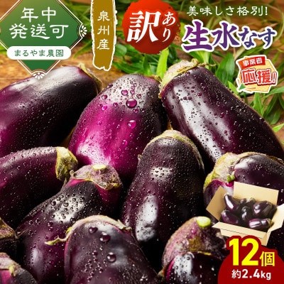 まるやま農園 泉州生水なすB級訳あり品 ふるさと納税3.0