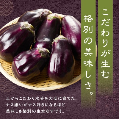 まるやま農園 泉州生水なすB級訳あり品 ふるさと納税3.0