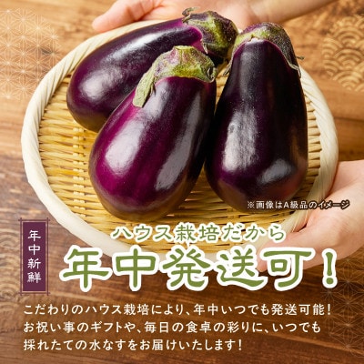 まるやま農園 泉州生水なすB級訳あり品 ふるさと納税3.0