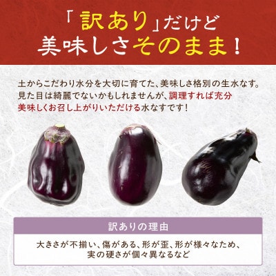 まるやま農園 泉州生水なすB級訳あり品 ふるさと納税3.0