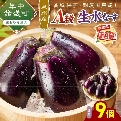 まるやま農園 泉州生水なす 9個 ふるさと納税3.0