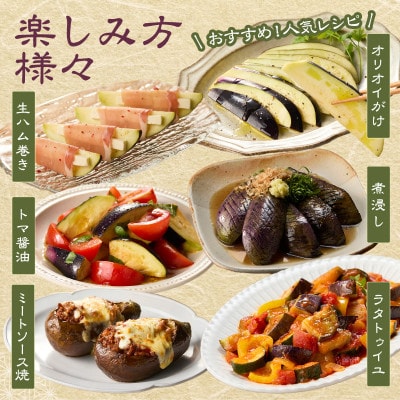 まるやま農園 泉州生水なす 9個 ふるさと納税3.0