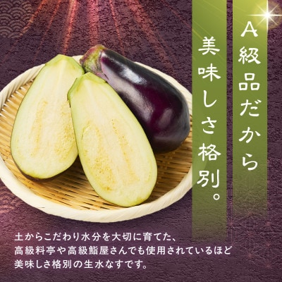 まるやま農園 泉州生水なす 贈答用6個 ふるさと納税3.0