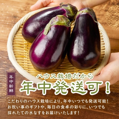 まるやま農園 泉州生水なす 贈答用6個 ふるさと納税3.0