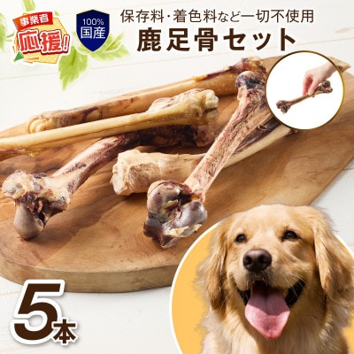 ペットフード研究所 国産無添加 鹿足骨5本セット ふるさと納税3.0