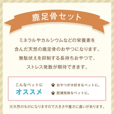 ペットフード研究所 国産無添加 鹿足骨5本セット ふるさと納税3.0