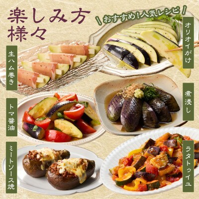 まるやま農園 泉州生水なす 贈答用12個 ふるさと納税3.0