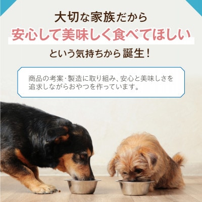 ペットフード研究所 国産無添加 鹿肉ジャーキー500g ふるさと納税3.0