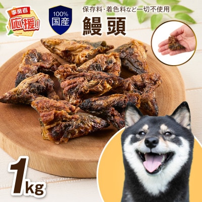 ペットフード研究所 鰻頭 1kg ふるさと納税3.0