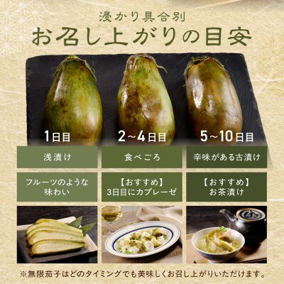 まるやま農園 泉州水なす ぬか漬け 6個 ふるさと納税3.0