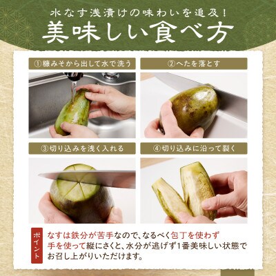 まるやま農園 泉州水なす ぬか漬け 8個 ふるさと納税3.0