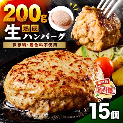 【無添加】熟成生ハンバーグ(200g×15個) ふるさと納税3.0