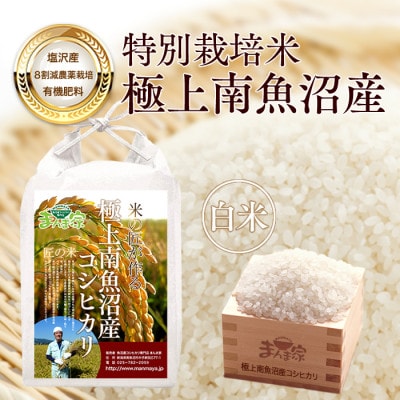 【7年産新米予約】特別栽培米「南魚沼産コシヒカリ」(栽培期間中農薬節減・化学肥料不使用)白米5kg