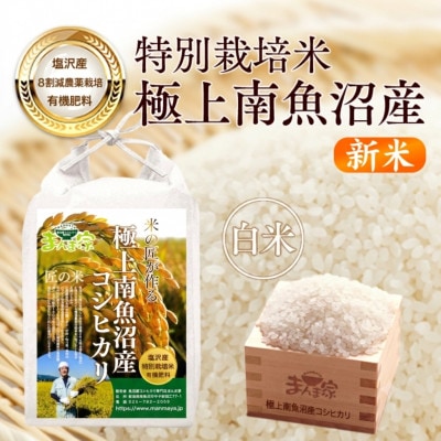 【新米】【8年産】特別栽培米「南魚沼産コシヒカリ」(栽培期間中農薬節減・化学肥料不使用)白米10kg
