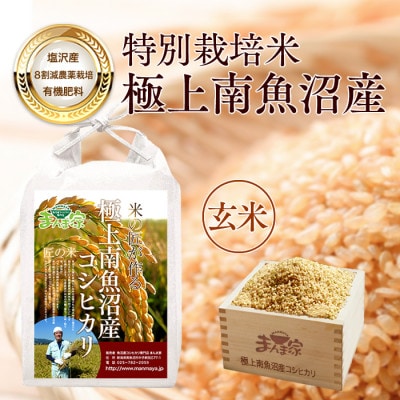 【7年産新米予約】特別栽培米「南魚沼産コシヒカリ」(栽培期間中農薬節減・化学肥料不使用)玄米5kg