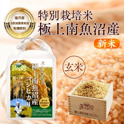 【新米】【8年産】特別栽培米「南魚沼産コシヒカリ」(栽培期間中農薬節減・化学肥料不使用)玄米5kg