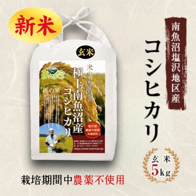 【2023年2月下旬発送】【令和4年産】特別栽培米「南魚沼産コシヒカリ」農薬不使用玄米5kg