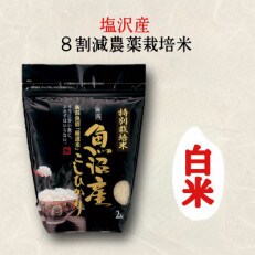 【令和4年産】特別栽培米「南魚沼産コシヒカリ」(栽培期間中農薬節減・化学肥料不使用)精米4kg